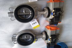 氣動(dòng)蝶閥的結構形式和特點(diǎn)？